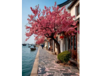 2025五一假期：旅游胜地人气爆棚，出行热点盘点