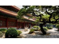 济南周边自驾游目的地推荐：自由启程探索美景与美食