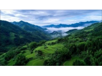 5月不去凤凰、矮寨？湖南这条自驾线路人少景美，堪称“宝藏”！
