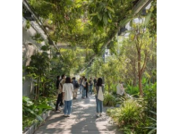 昊铂之旅：穿行于中山至四会的绿色科技长廊