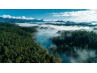 春至徽州 | 探秘环黄山自驾两日游攻略  