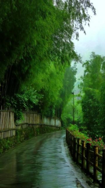 以下是一份大连森林动物园的旅游攻略