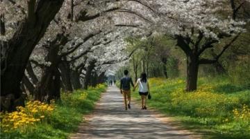 五一出行避高峰,探寻小众城市之旅