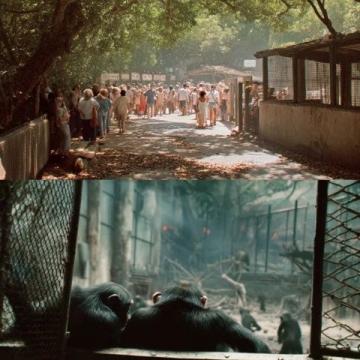 天津野生动物园旅游攻略 天津动物园旅游攻略
