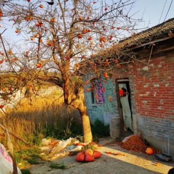 丽江是中国最受欢迎的旅游目的地之一,以其古城风貌、雪山湖泊、少数民族文化和悠闲的