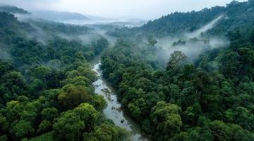 金华磐安小众旅行胜地探秘:花溪风景区、百杖潭等美景推荐
