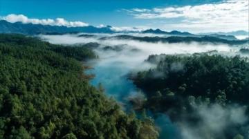 探秘秦岭之巅:汉中紫柏山的独特自然奇观与一日游攻略