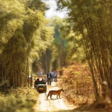 天津野生动物园旅游攻略 天津动物园旅游攻略