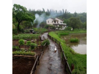 北京南宫温泉水世界-北京南宫水世界旅游攻略