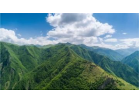 探秘秦岭之巅：汉中紫柏山的独特自然奇观与一日游攻略