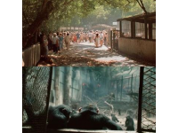 天津野生动物园旅游攻略 天津动物园旅游攻略
