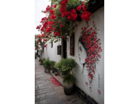 塘栖古镇旅行指南：畅游西古镇必看攻略
