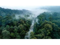 湖北之行：探访神农架天燕景区，感受自然与传说的魅力