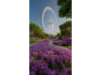 五一江浙沪出游新思路！！,这些小众景点美哭了！！江苏泰州国家5A级旅游景区溱湖