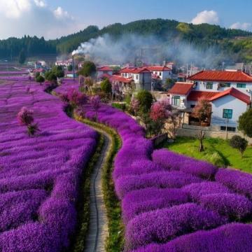 内蒙古自驾3天,北京逛园子2天,青岛玩海滩2天,七天跨越三省(路过河北)一市的旅
