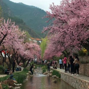 安阳旅游两日攻略_安阳两日游旅游攻略