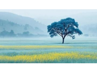 游遍祖国，一天一个好景点，今天是——泰安东平湖景区,初临此地便觉