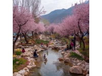 昆明民族村旅游攻略：最佳游玩时间与路线推荐