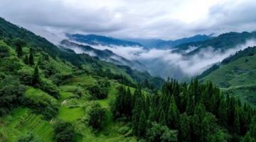 重庆李子坝旅游攻略:拍照机位推荐与美食游玩指南