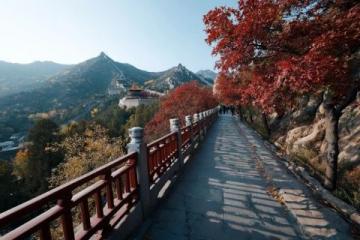 五一黄山旅游攻略及实用指南