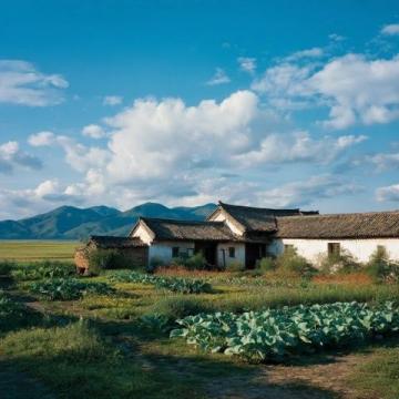 说走就走的四川云南西双版纳之旅