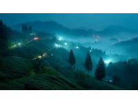 3天2晚峨眉山深度游：旅行爱好者的便捷之旅与味蕾盛宴