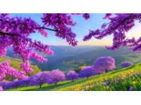 贵州百里杜鹃旅游攻略：最佳赏花时节与行程规划