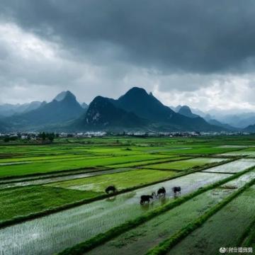 黄柏河生态湿地公园美景探访