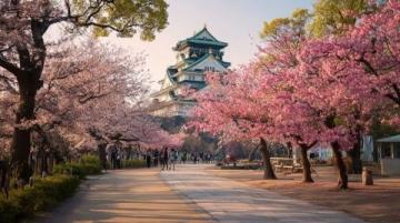 五一旅行攻略：避开人潮玩转小众景点与地道玩法