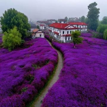 江西美景受热捧,旅游热度持续升温