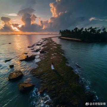 嘉午台必去景点攻略