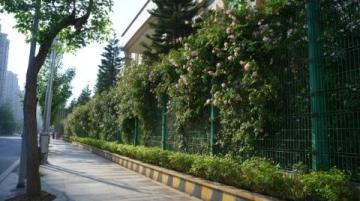 南宁五一游玩指南:走进美丽的绿色都市