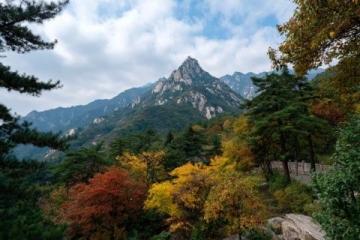 深度解读黄山之旅:全攻略指南