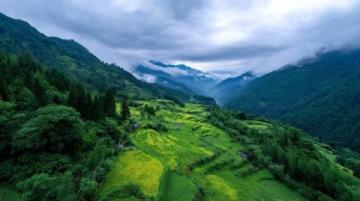 东北人偏爱的云南养老胜地:西双版纳温暖宜居气候吸引众多旅居者