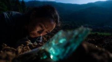 隐匿于徽州古镇的旅人游记之黄山行