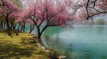 武汉樱花观赏及旅游全攻略