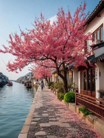 春暖花开之旅: 三月最美旅游景点及去前准备注意事项!