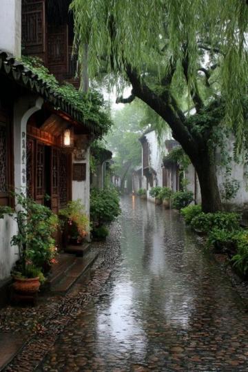 江南水乡之旅——周庄旅行攻略