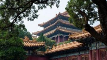 曲阜三孔景区:孔庙、孔府与孔林的历史文化宝藏