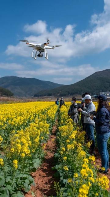 安顺旅游攻略:探索山水人文与美食之旅