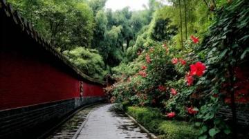 苏州江南春游秘境指南