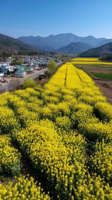 榆林市佳县: 一次完美的五一旅游之旅