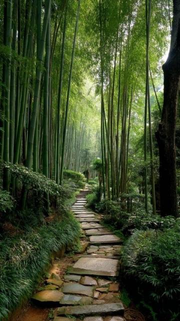 成都周边热门旅游景点攻略