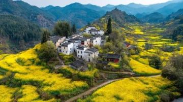 探寻四川之美:从自然风光到历史文化的深度之旅