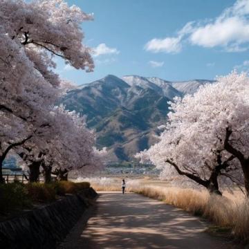 黄金旅行季4月,5月!气候宜人、景色绝美,而且避开暑假高价