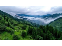 云南旅行指南:跟团游还是自由行？