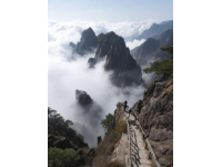 泰山的旅游体验兼具自然震撼与文化厚重感，但需合理规划以应对人流量与体力挑战
