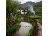 五一假期：高端社区宁静，财富分层下的旅游与生活反差