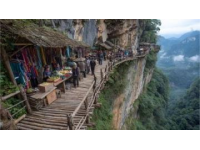 探索云南普洱之旅：必备旅游指南