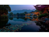 云南之旅：难忘印象与文化探索心得